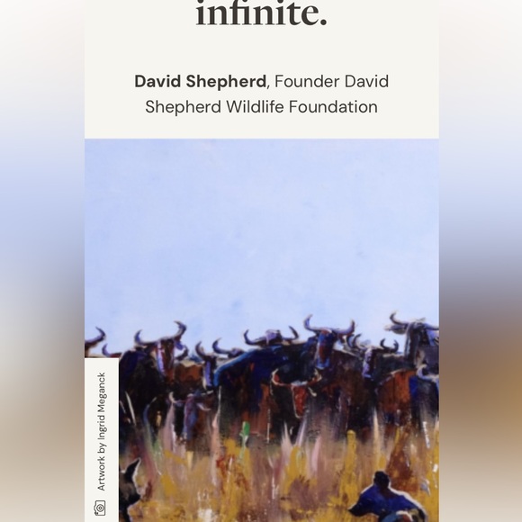 5 RARE WEDGEWOOD WILDLIFE WWF DINNER PLATES,signed David Shepherd - Picture 10 of 13